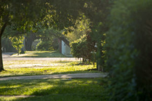 shutterstock_775218853